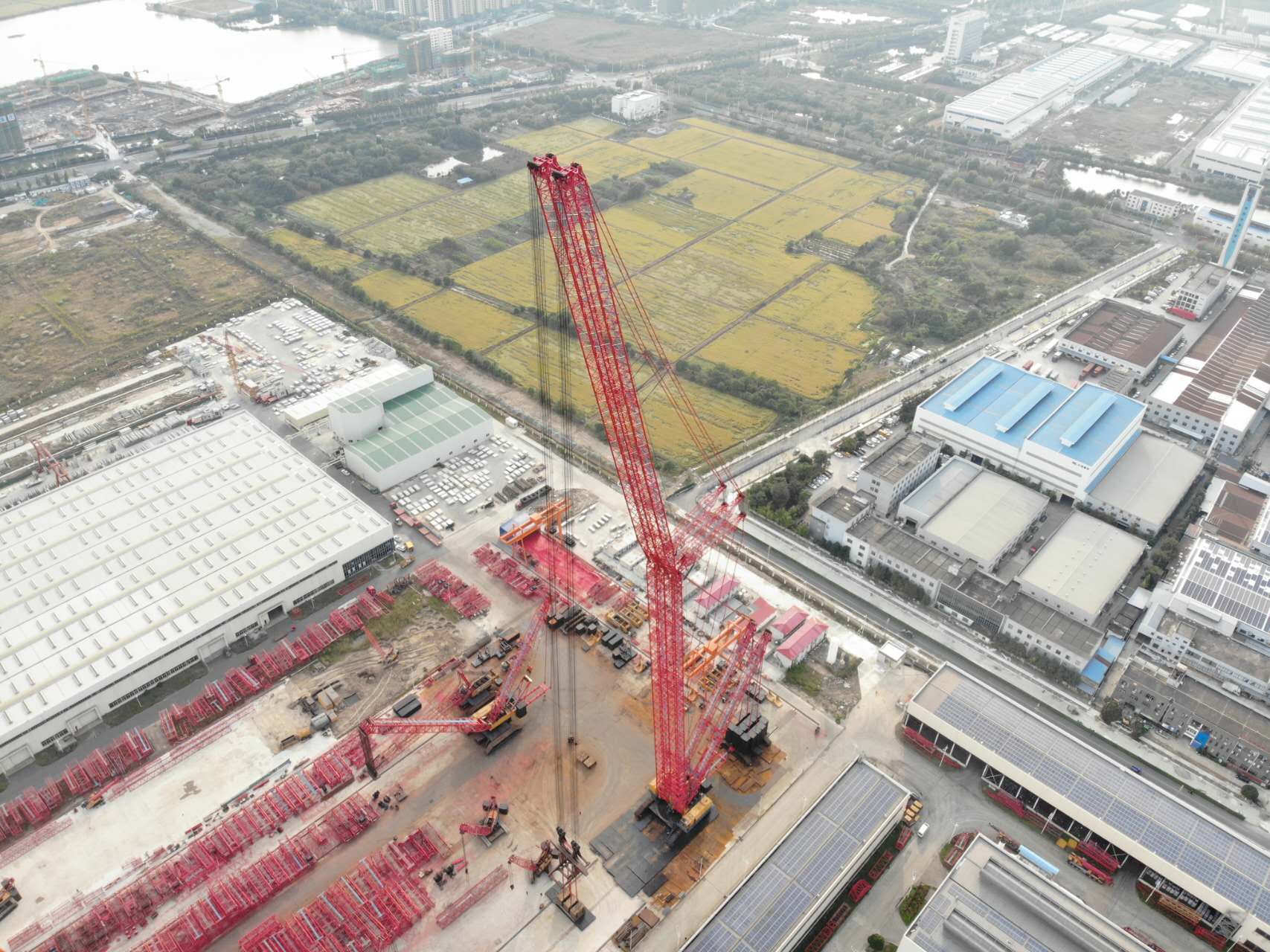 Plants 배경 이미지